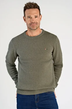 Bison Strik