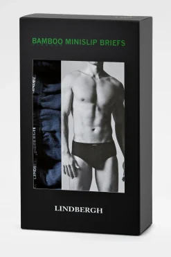 Lindbergh Briefs