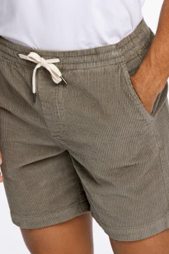 Lindbergh Casual shorts