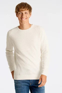 Lindbergh Strik