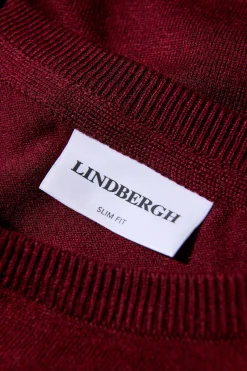 Lindbergh Strik