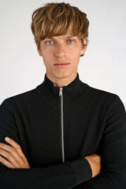 Lindbergh Strik