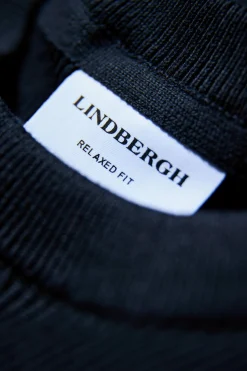 Lindbergh Strik
