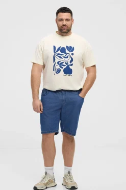 North Denimshorts